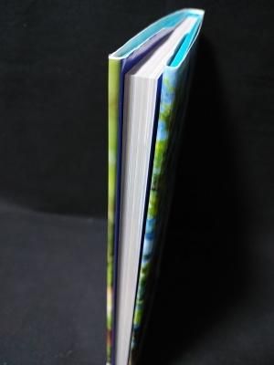 川村ゆきえ写真集 1or8 いちかばちか 木村晴 撮影 ワニマガジン社 古書 コモド ブックス Komodo Books 埼玉県川口市 古本 販売 買取 映画 音楽 幻想文学 漫画 劇画 オカルト 芸能 サブカル 美術 建築 写真 思想哲学 民俗文化 人文社会 川村ゆきえ写真集 1or8 いちかばちか 木村晴 撮影 ワニマガジン社 古書 コモド ブックス Komodo Books 埼玉県川口市 古本 販売 買取 映画 音楽 幻想文学 漫画 劇画 オカルト 芸能 サブカル 美術 建築 写真 思想哲学 民俗文化 人文社会
