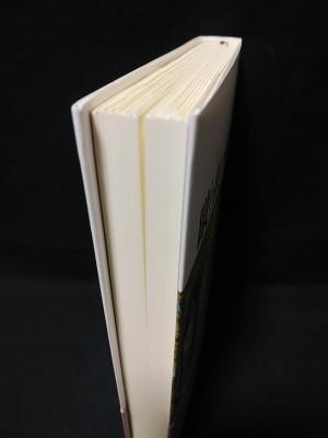 蹴り損の棘もうけ 新装復刊 サミュエル・ベケット 川口喬一訳