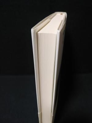 【中古】 アウステルリッツ 改訳/白水社/Ｗ．Ｇ．ゼーバルト Amazon.co.jp: 改訳 アウステルリッツ (ゼーバルト