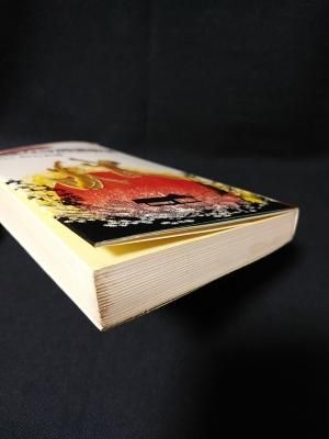 危険な幼稚園教育 子どものために親が読む本 初版 サンポウ