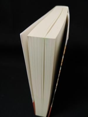 ゾロアスター教 三五〇〇年の歴史 (講談社学術文庫 1980