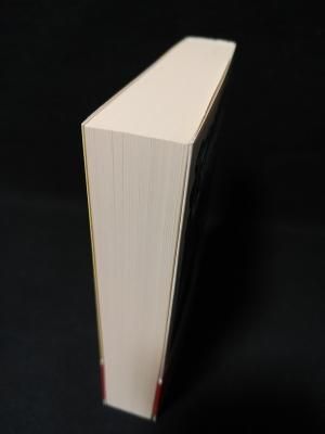 幻想小説神髄 世界幻想文学大全 東雅夫 筑摩書房 ちくま文庫 幻想小説神髄 世界幻想文学大全 東雅夫 筑摩書房 ちくま文庫