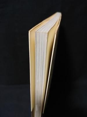 ひと粒 桂木文熱写集 野村誠一撮影 ワニブックス - 古書コモド