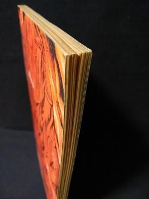 遊 1971年 創刊号 | 工作舎 | nostos books ノストスブックス
