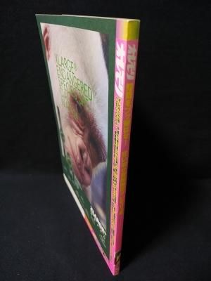 広末涼子CD.ファンクラブメンバーズカード RHフレンドル旧会員も驚愕》広末涼子の新ファンクラブ「現在の