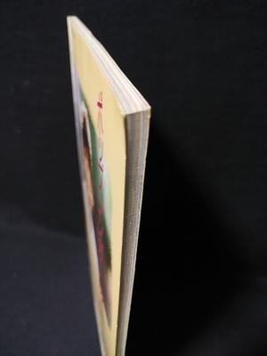 河合奈保子写真集 Sunshine Venus サンシャイン・ビーナス アリーナ37 河合奈保子写真集 Sunshine Venus サンシャイン・ビーナス アリーナ37