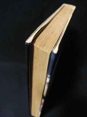 本245／単行本コミック　草迷宮・草空間　内田善美 41c5e2RWr6L._SL500_.jpg