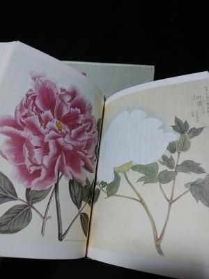 フローラ逍遥 澁澤龍彦 平凡社 - 古書 コモド ブックス komodo