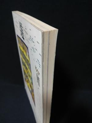 遊 objet magazine 1007 量子流・夢仮説 1979年6月 松岡正剛