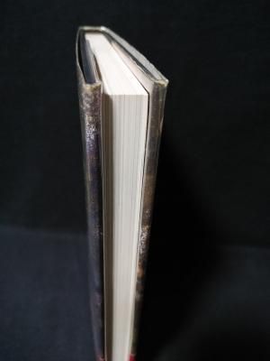 万国心霊古写真集 大心霊科学時代の遺産 1860-1930 菊池正宏編 南方堂