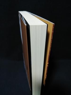 【廃盤希少】ジェス・フランコ 監督作品 　DVD 10本セット 異形の監督ジェス・フランコ ユーロ・トラッシュ映画がほこる巨匠の