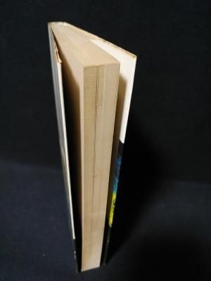秘法ヨガ入門 藤本憲幸 大陸書房 - 古書 コモド ブックス komodo