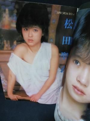 別冊BIG GORO 激写 第12号 篠山紀信全撮影 松田聖子表紙 小学館 別冊BIG GORO 激写 第12号 篠山紀信全撮影 松田聖子表紙 小学館