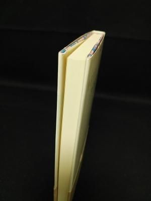 アンリ・ミショー 詩集 (双書・20世紀の詩人 19) 小沢書店 文学