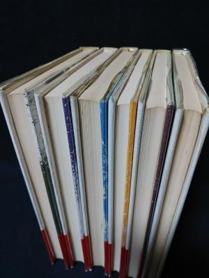 チェーザレ・パヴェーゼ全集 1~5巻・7巻まで6冊揃(既刊分全7巻 チェーザレ・パヴェーゼ全集 1~5巻・7巻まで6冊揃(既刊分全7巻