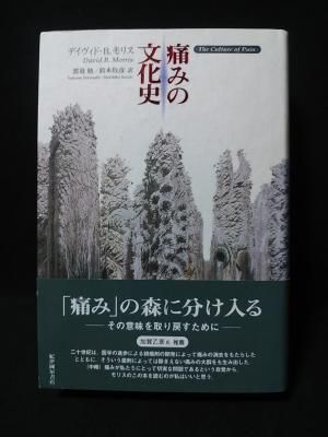 痛みの文化史 | デイヴィド・B. モリス, Morris,David B., 勉