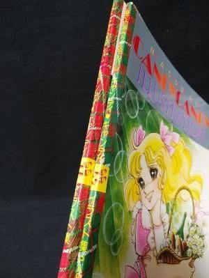 キャンディ・キャンディ イラスト集 全2冊揃 いがらしゆみこ キャンディ・キャンディ イラスト集 全2冊揃 いがらしゆみこ