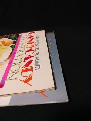 キャンディ・キャンディ イラスト集 全2冊揃 いがらしゆみこ キャンディ・キャンディ イラスト集 全2冊揃 いがらしゆみこ
