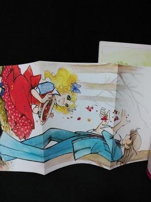 キャンディ・キャンディ イラスト集 全2冊揃 いがらしゆみこ キャンディ・キャンディ イラスト集 全2冊揃 いがらしゆみこ