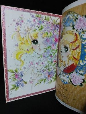 キャンディ・キャンディ イラスト集 全2冊揃 いがらしゆみこ キャンディ・キャンディ イラスト集 全2冊揃 いがらしゆみこ