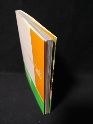 松本小雪という不思議少女 篠山紀信撮影 GORO特別編集 激写文庫4