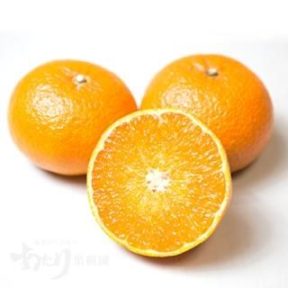 奄美大島すもも　23キロ ☆2025年産 完売御礼☆】奄美すもも♪（3kg） | 奄美大島の