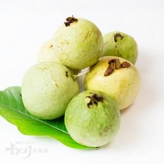 奄美大島産すもも 3kg - あたり果樹園