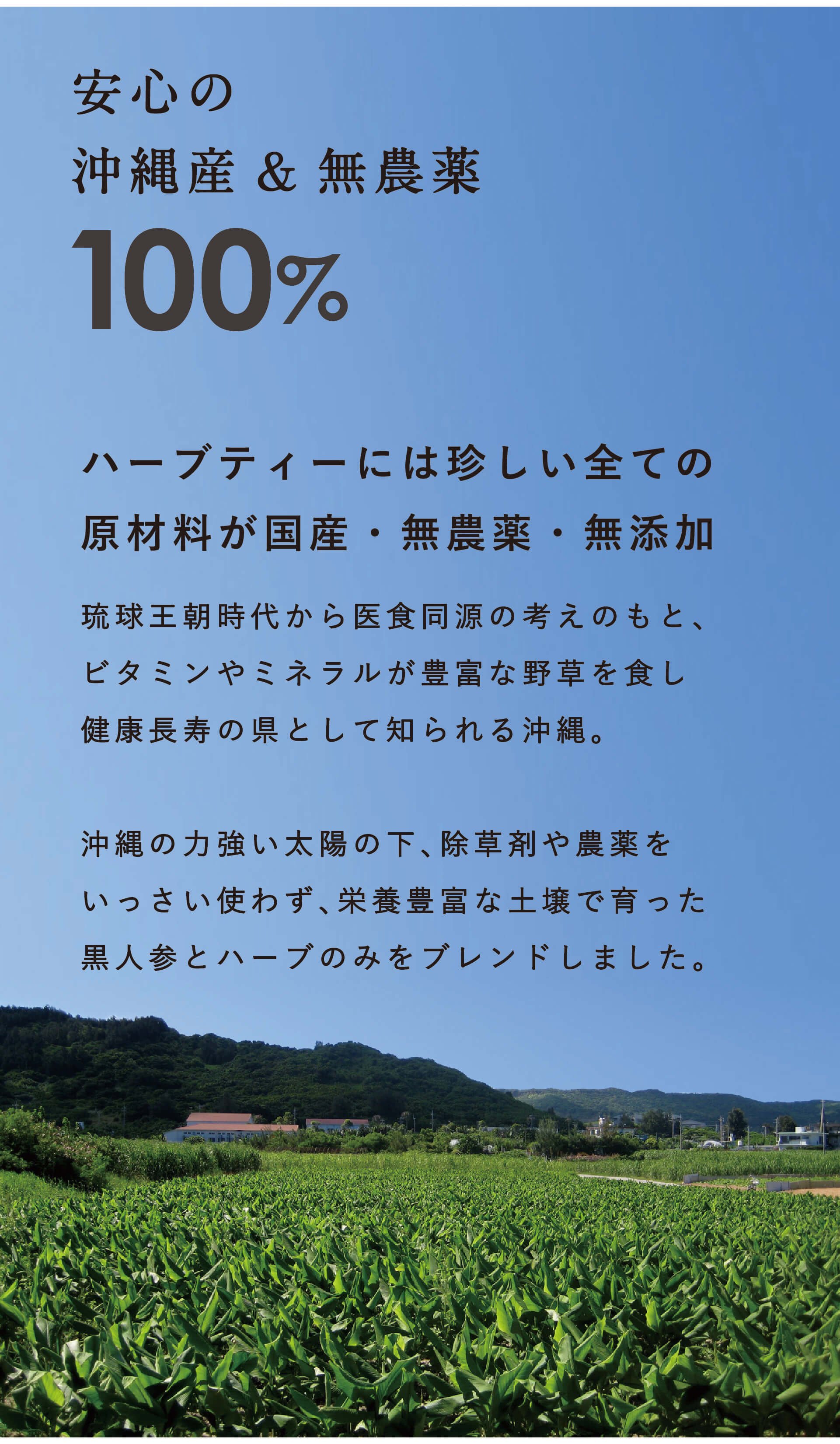 沖縄産100%