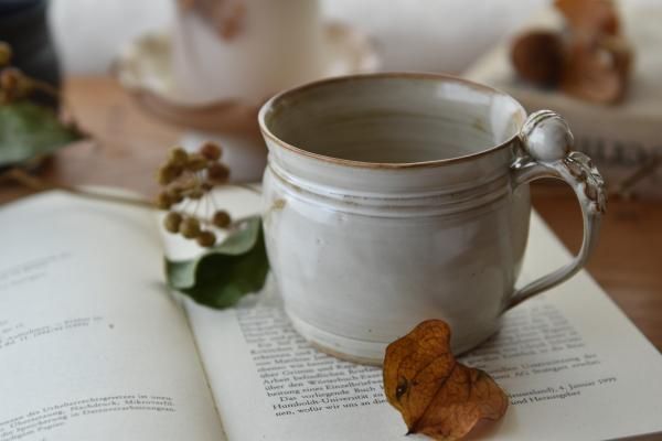 【石渡磨美】どんぐり2段重 陶磁器耐熱✴️価格訂正✴️ 石渡磨美 器 - Zakka Dragee（ザッカドラジェ）オンラインストア（器