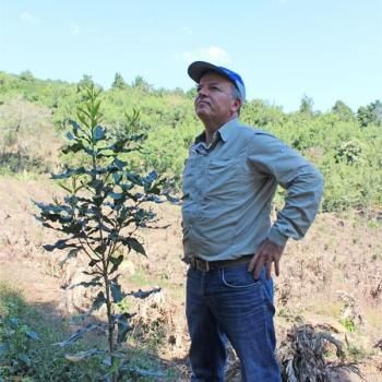 ʡۥƥޥ 饹̡٥ & 륹 ԥƥȡ100g✕2