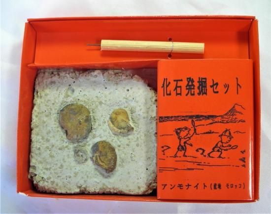 化石セット 珍しい石&化石 セット アマゾナイトetc