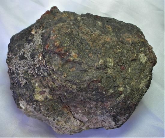 恐竜の糞 化石 恐竜の糞化石