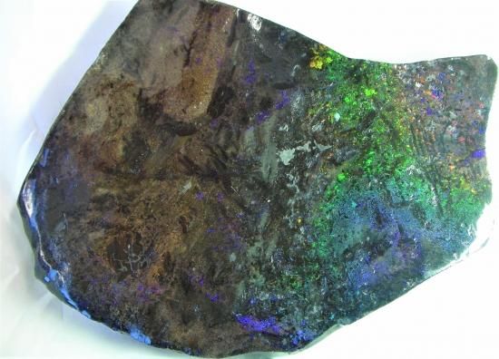 4.57ct アンダムーカ マトリックスオパール 1589 南オーストラリア産