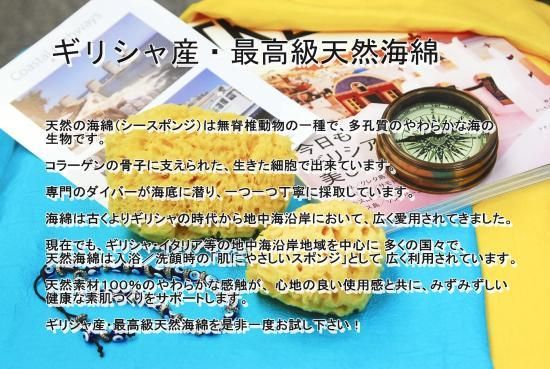 ギリシャ産スポンジ（海綿） Mサイズ - バニラプランテーション