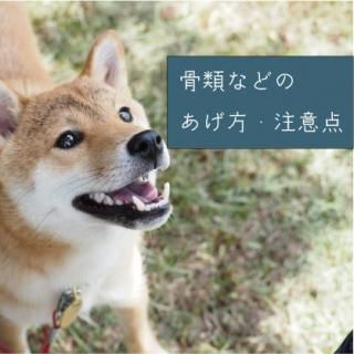 ڤ۹Τ¸ˡ