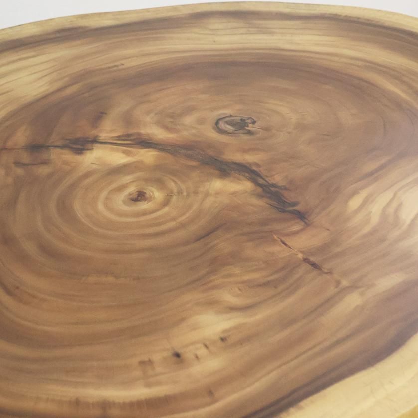 モンキーポッド輪切りダイニングテーブル ＜ウレタン塗装＞ 「脚付き