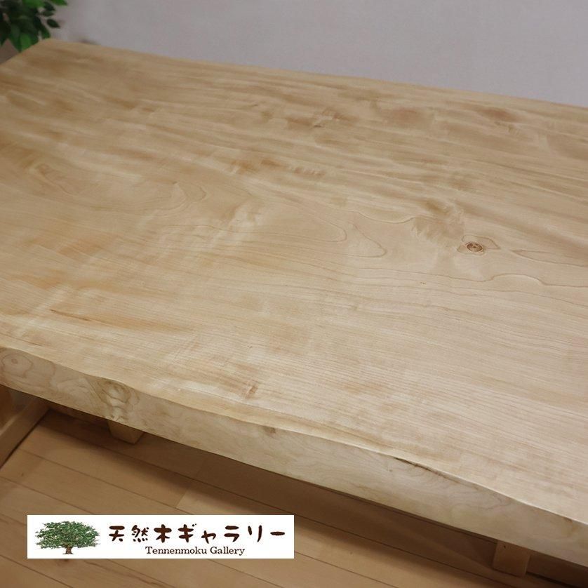 <img class='new_mark_img1' src='https://img.shop-pro.jp/img/new/icons2.gif' style='border:none;display:inline;margin:0px;padding:0px;width:auto;' />ġȥ(ʡˡۡ㥦쥿䡡ita-19173-toti̵