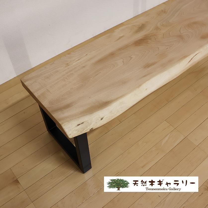 一枚板ベンチ1515】 一枚板 栃（とち） スチール脚付 ＜ウレタン塗装