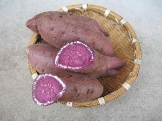 有機パープルスイートロード (紫芋）　　１０キロ