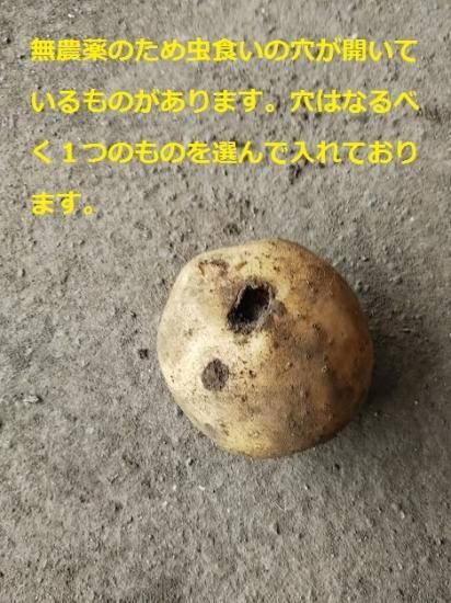 有機栽培 新じゃがいも 5キロ 訳あり品 送料無料 久保田農園