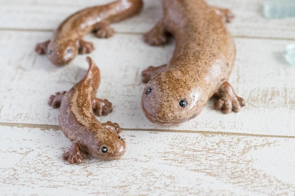 チビ】大山椒魚 オオサンショウウオ - クラフト悠季
