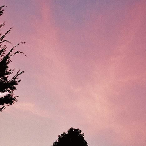 Ryutaro Izaki<span> εϯ</span>