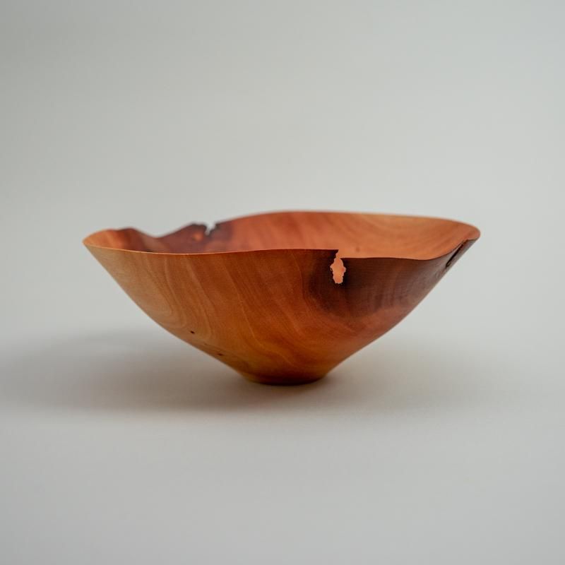 藤本健 アカギ ボウル 藤本健 アカギ 藤本健 木のうつわ展 ” terra