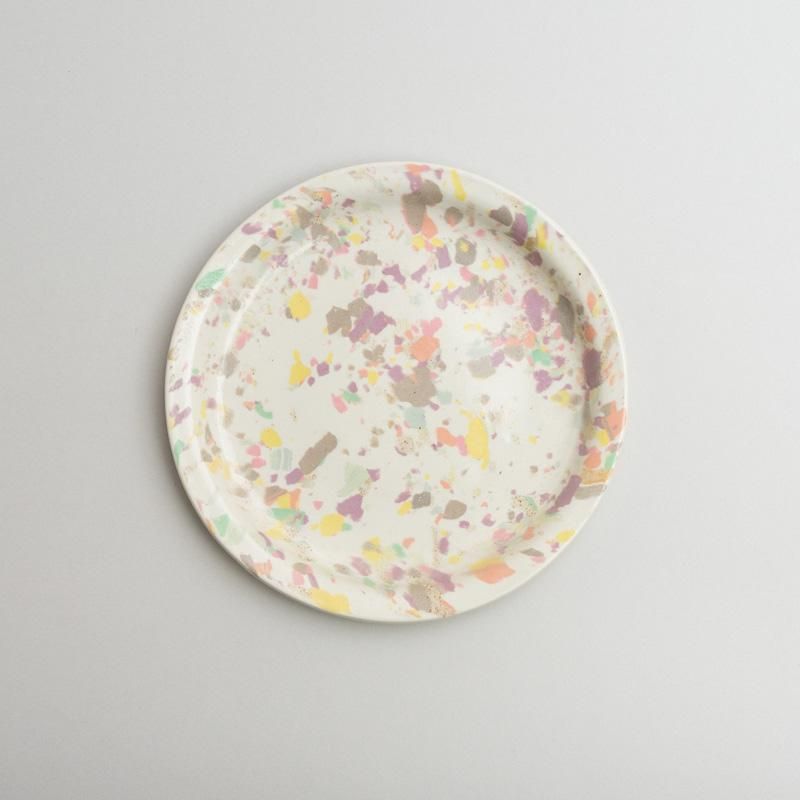 COLOR CHIP PLATE
