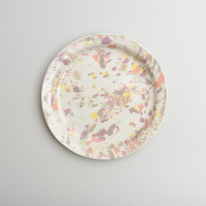  COLOR CHIP PLATE