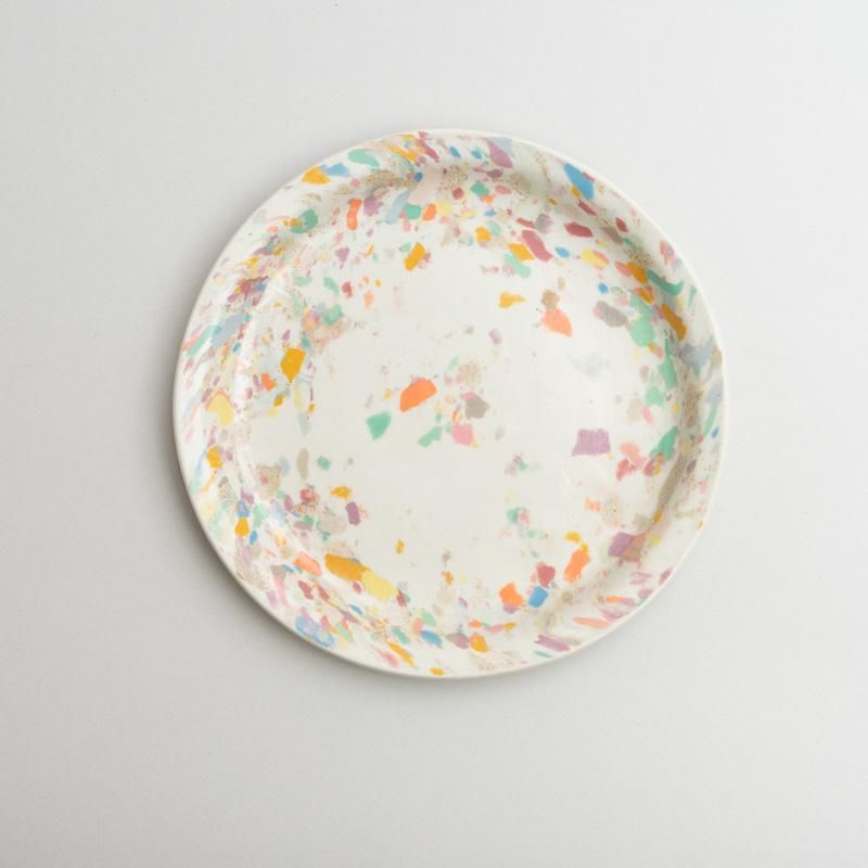  COLOR CHIP PLATE