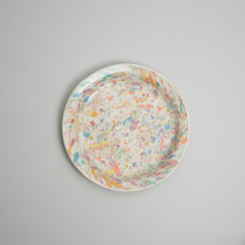  COLOR CHIP PLATE