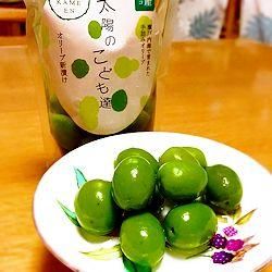 オリーブさま。専用出品です。 8426967013181.jpg?v=1753670680