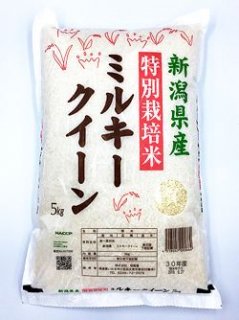 新潟県産 特別栽培米ミルキークイーン 5�