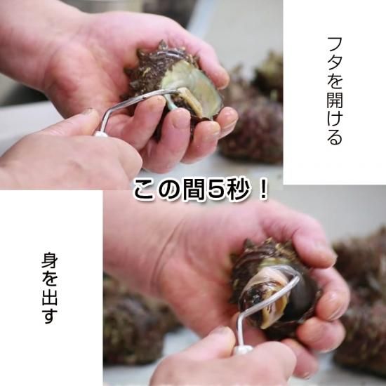 サザエ開けpremium すぐ取れる簡単器具 ふくべ鍛冶